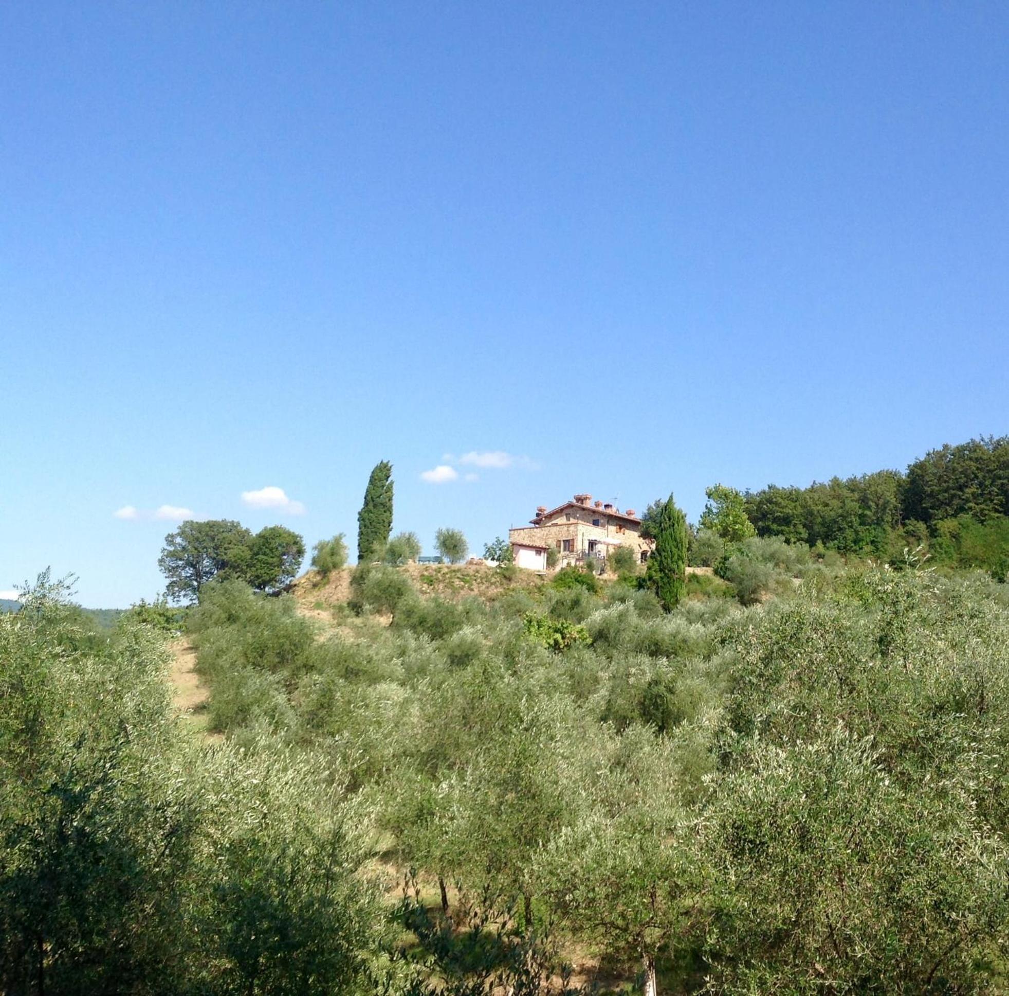 فيلا Agriturismo Prato Barone Rufina المظهر الخارجي الصورة